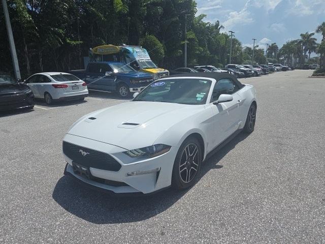 used 2019 Ford Mustang car, priced at $13,900