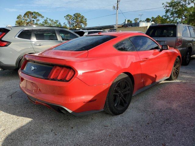 used 2015 Ford Mustang car