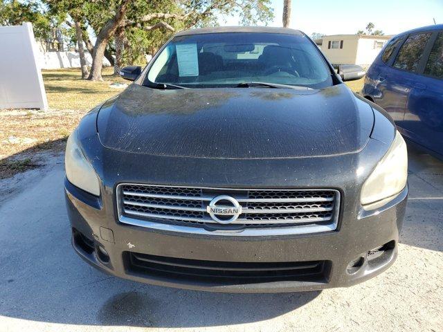 used 2011 Nissan Maxima car