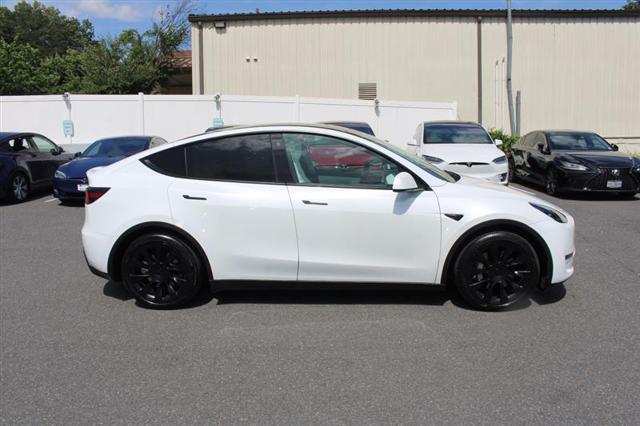 used 2021 Tesla Model Y car, priced at $20,999