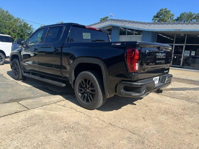 new 2024 GMC Sierra 1500 car