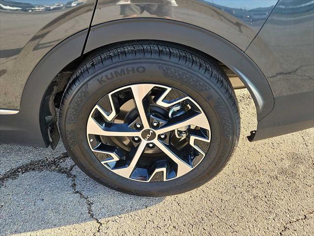 used 2025 Kia Sportage car