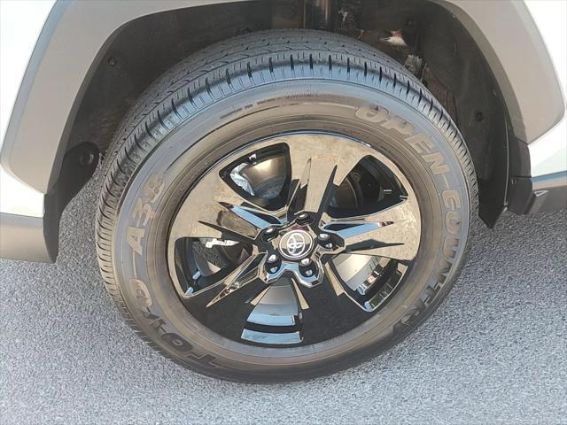 used 2019 Toyota RAV4 car, priced at $25,600