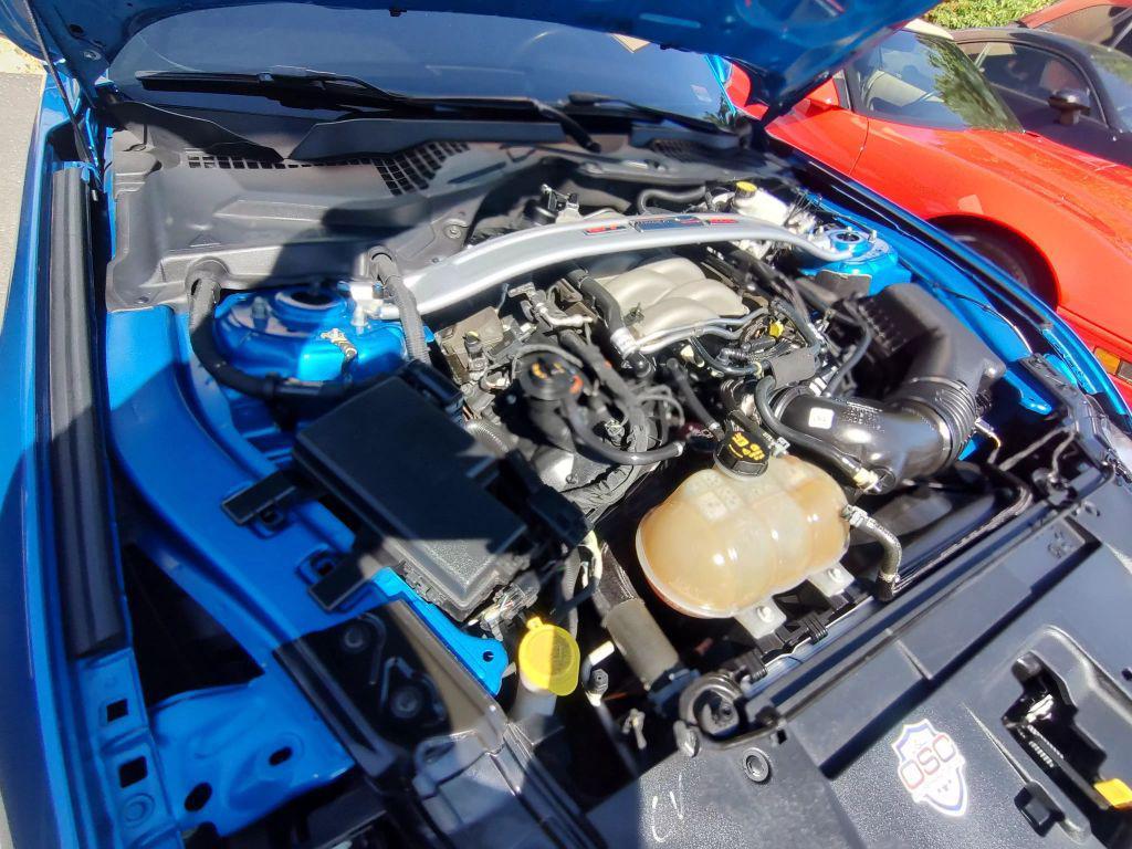 used 2019 Ford Mustang car, priced at $31,611