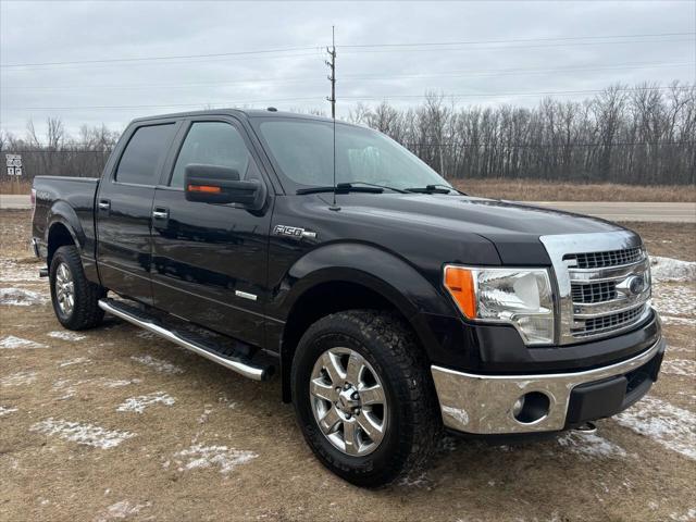 used 2014 Ford F-150 car, priced at $10,000