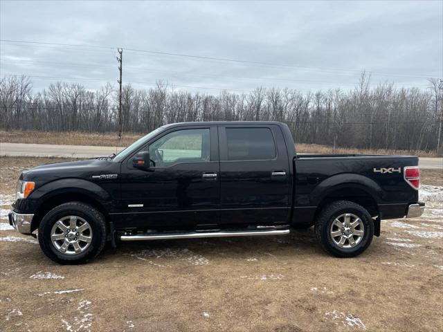 used 2014 Ford F-150 car, priced at $10,000