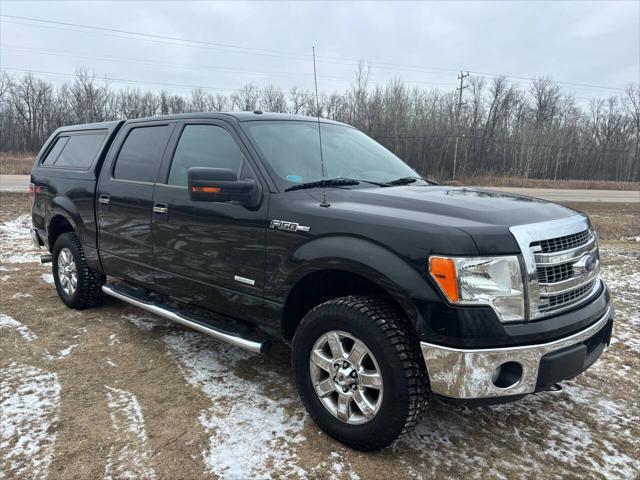 used 2014 Ford F-150 car, priced at $15,000