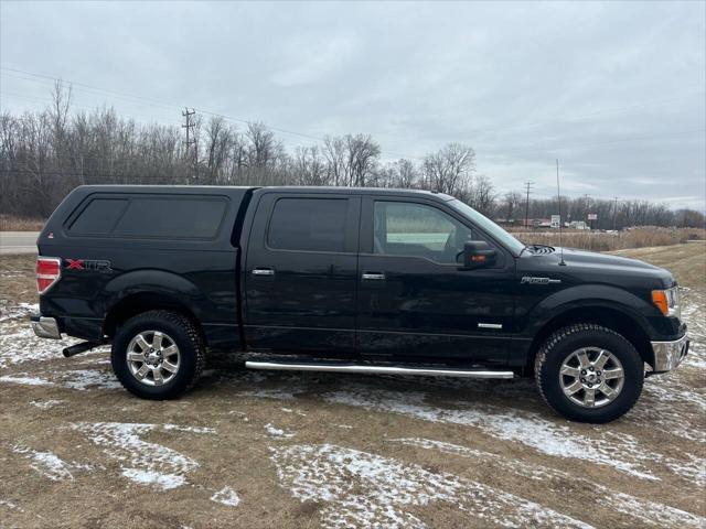 used 2014 Ford F-150 car, priced at $15,000