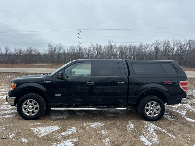 used 2014 Ford F-150 car, priced at $15,000