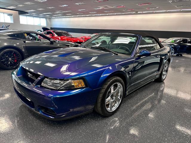 used 2004 Ford Mustang car, priced at $74,995