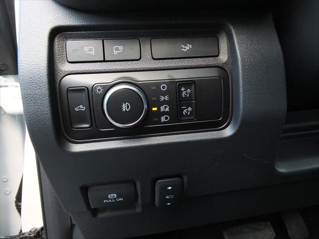 used 2024 Ford F-250 car, priced at $82,996