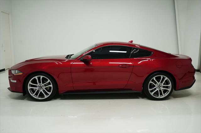 used 2022 Ford Mustang car