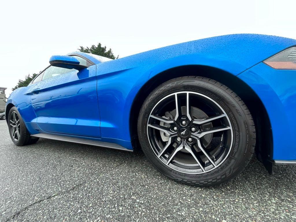 used 2019 Ford Mustang car, priced at $17,955