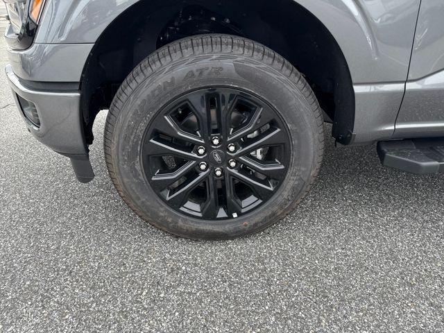 new 2025 Ford F-150 car