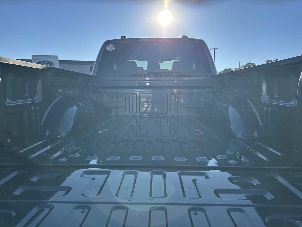 new 2025 Ford F-150 car, priced at $40,203