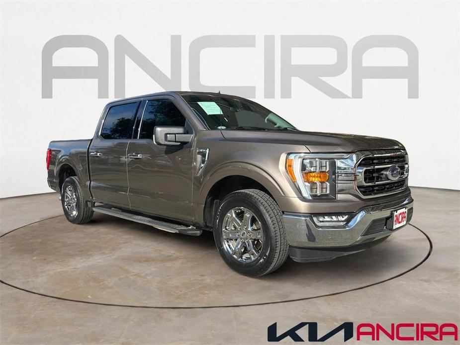 used 2021 Ford F-150 car, priced at $32,999