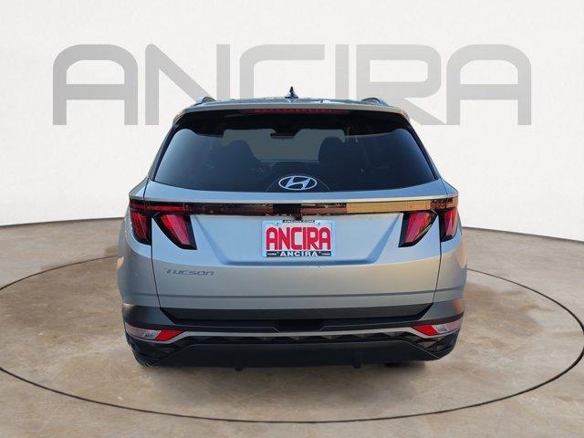 used 2024 Hyundai Tucson car, priced at $22,591