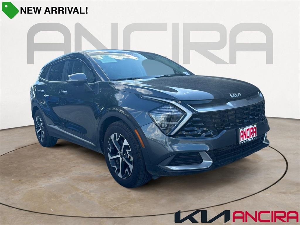 used 2024 Kia Sportage car