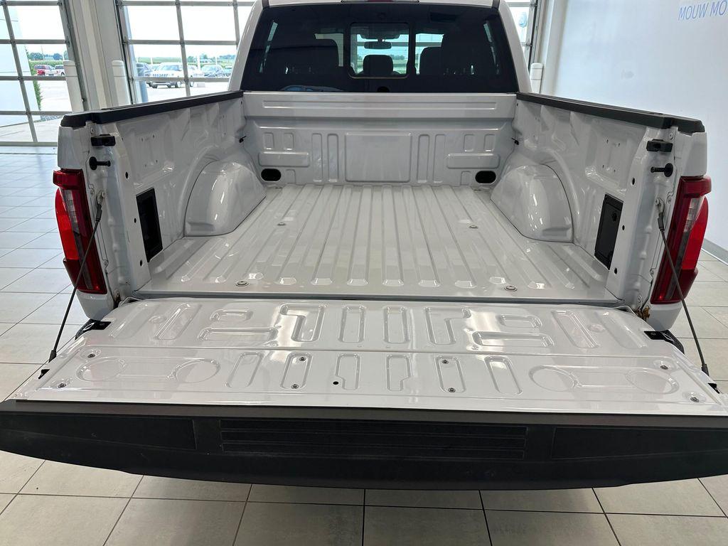 new 2025 Ford F-150 car, priced at $58,666