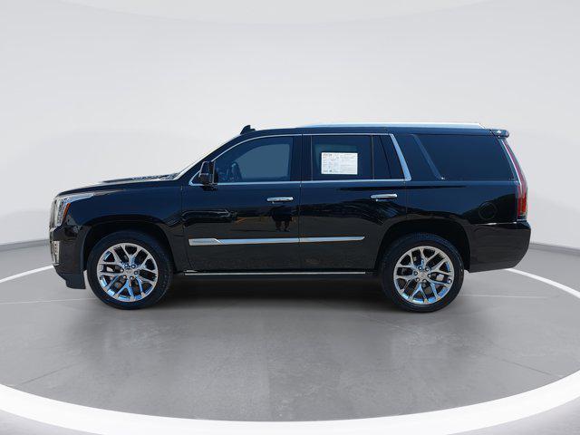 used 2019 Cadillac Escalade car, priced at $36,530