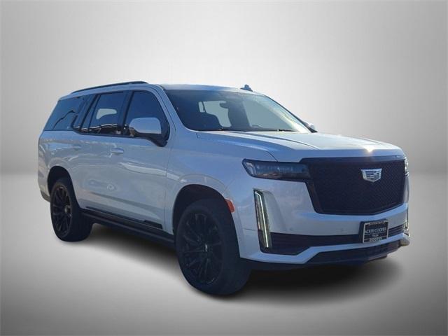 used 2021 Cadillac Escalade car, priced at $66,999