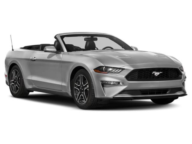 used 2019 Ford Mustang car