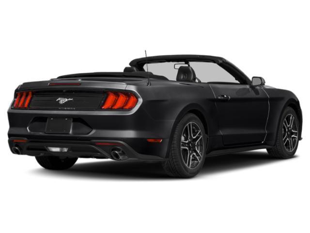 used 2019 Ford Mustang car