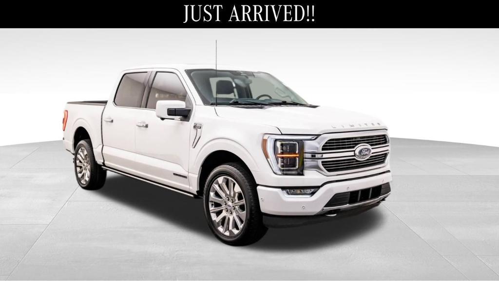 used 2023 Ford F-150 car, priced at $60,000