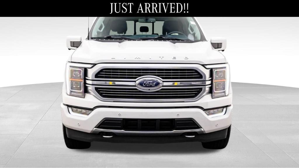 used 2023 Ford F-150 car, priced at $60,000