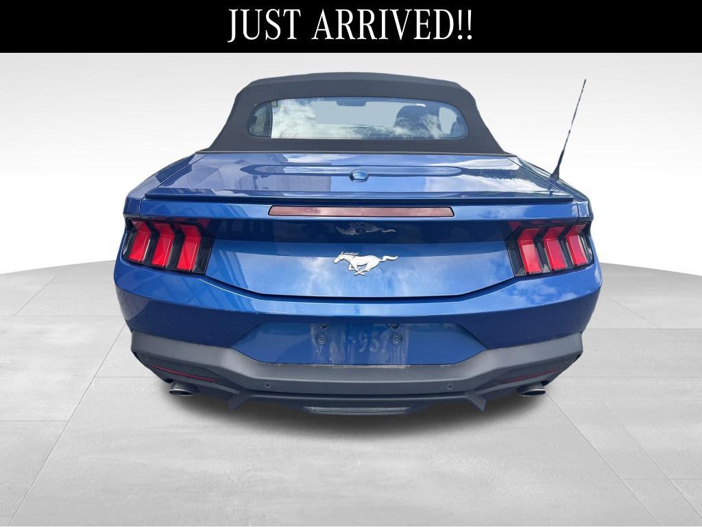 used 2024 Ford Mustang car, priced at $35,500