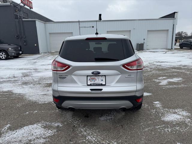 used 2014 Ford Escape car