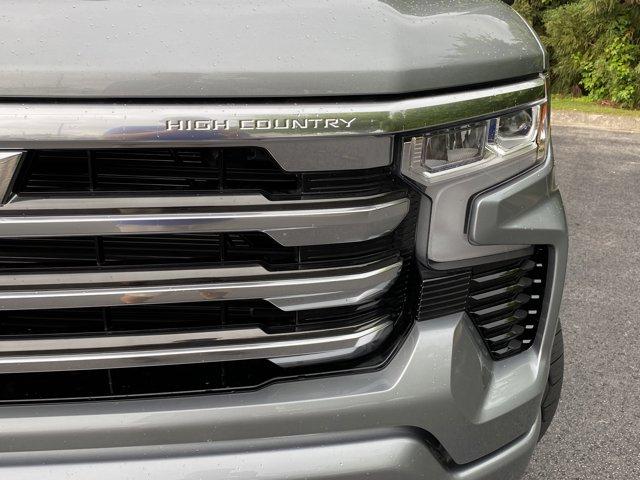new 2025 Chevrolet Silverado 1500 car, priced at $68,949