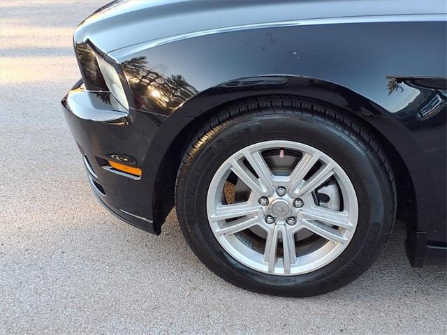 used 2013 Ford Mustang car, priced at $10,000