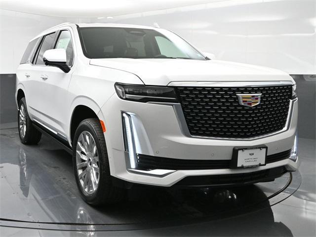 new 2024 Cadillac Escalade car