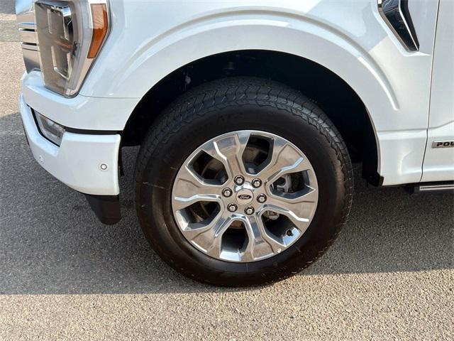 used 2023 Ford F-150 car, priced at $53,300