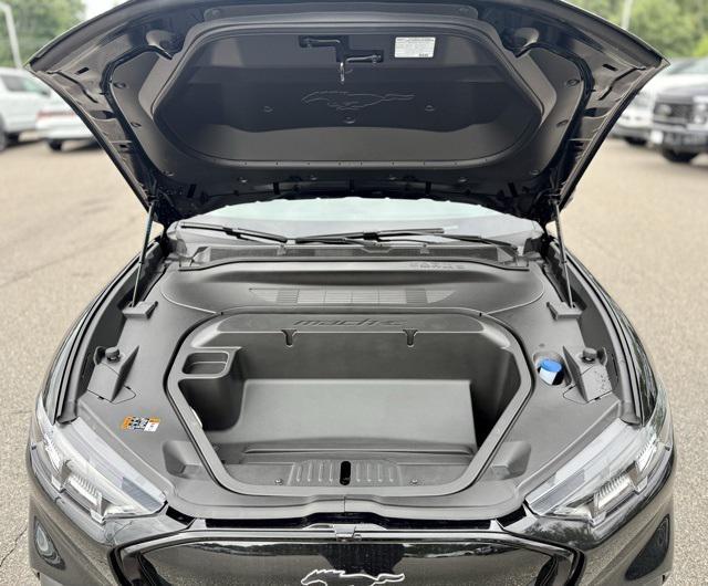 new 2025 Ford Mustang Mach-E car, priced at $48,000
