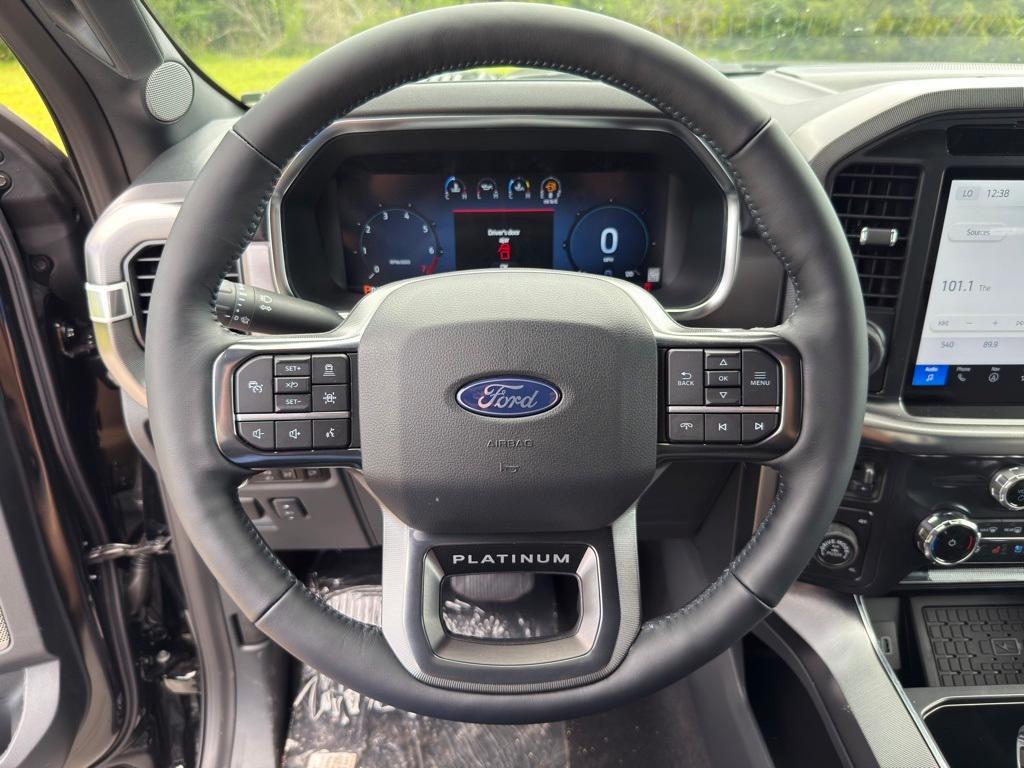 new 2025 Ford F-150 car, priced at $81,065