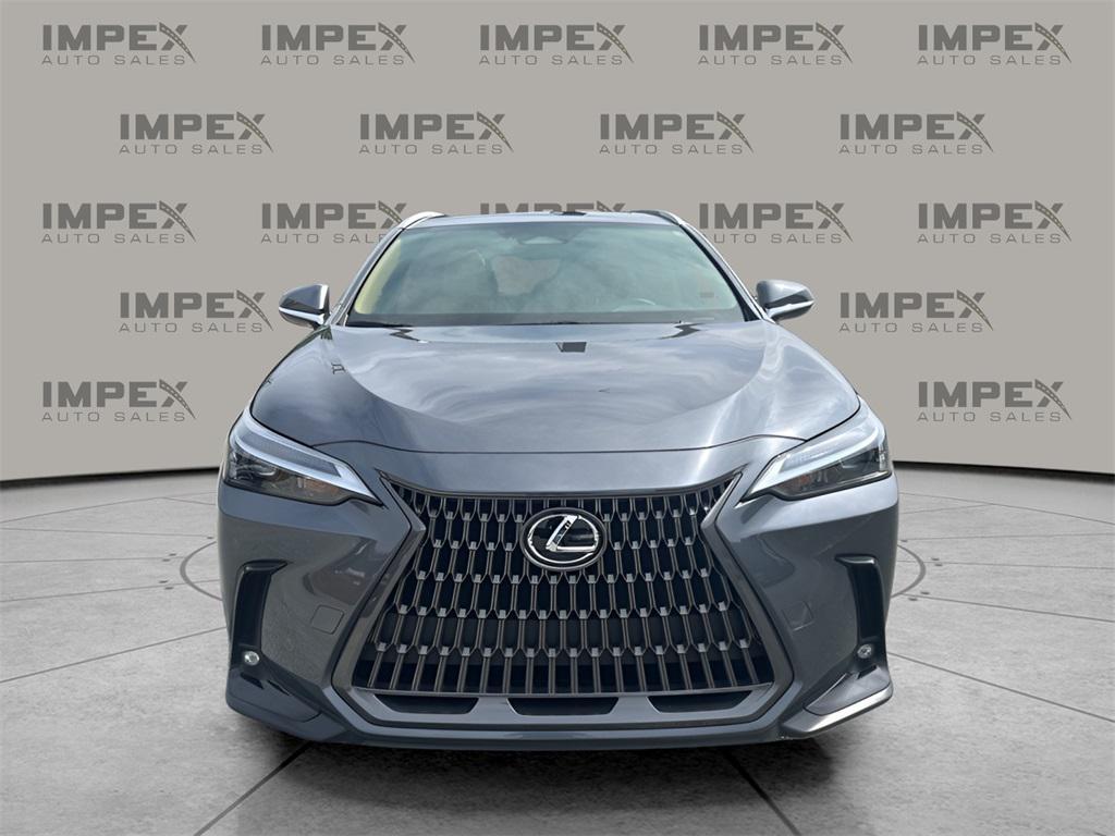 used 2024 Lexus NX 250 car, priced at $35,950