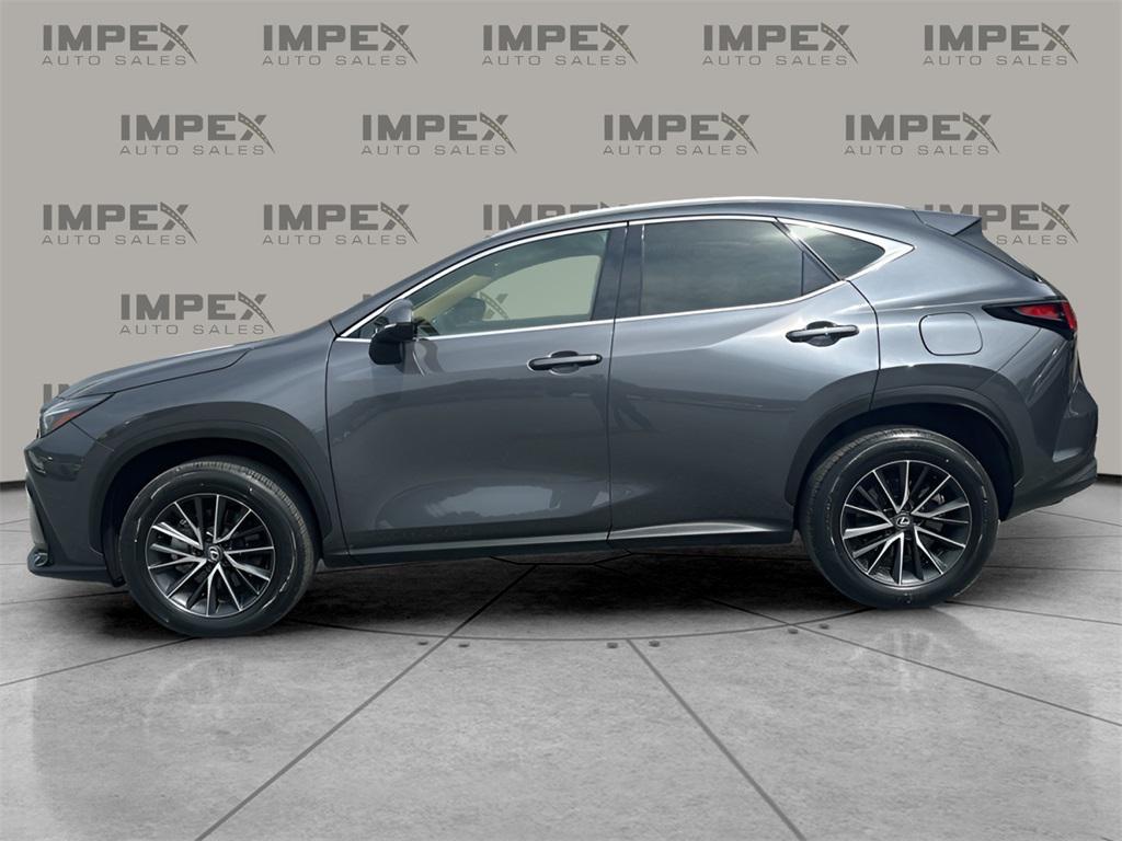 used 2024 Lexus NX 250 car, priced at $35,950