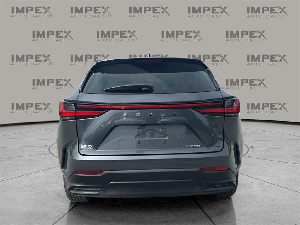 used 2024 Lexus NX 250 car, priced at $35,950