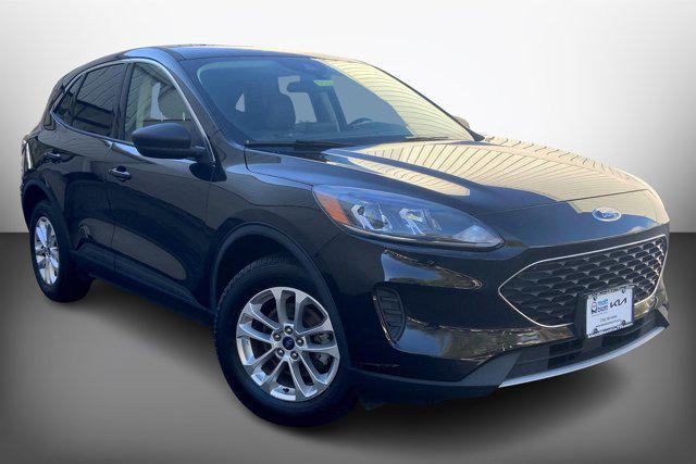 used 2022 Ford Escape car, priced at $19,990