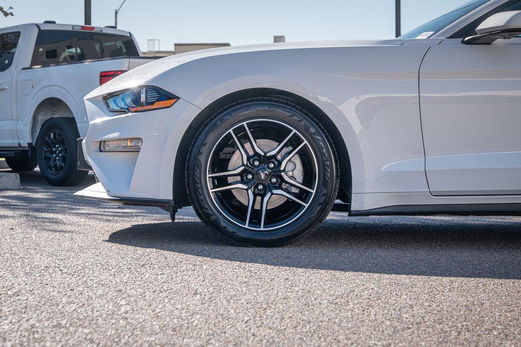 used 2023 Ford Mustang car, priced at $22,500