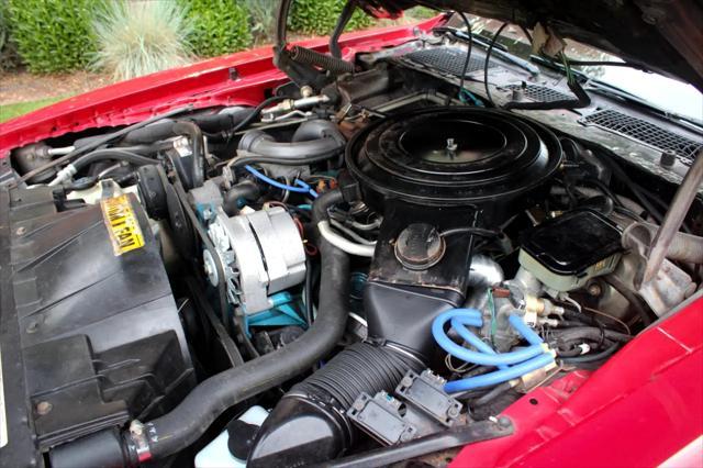 used 1981 Pontiac Firebird car, priced at $24,999