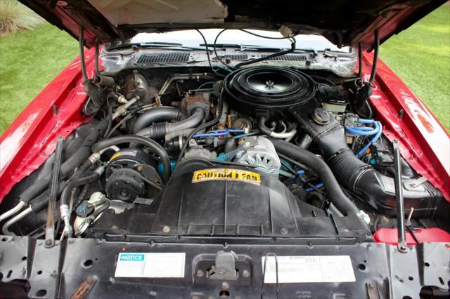 used 1981 Pontiac Firebird car, priced at $24,999