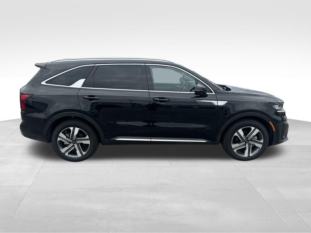 new 2024 Kia Sorento Hybrid car, priced at $37,040