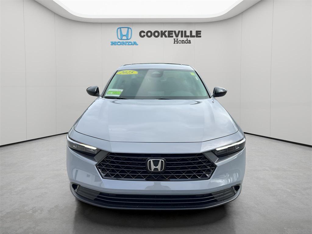 new 2025 Honda Accord car, priced at $32,210