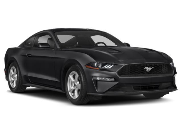 used 2020 Ford Mustang car