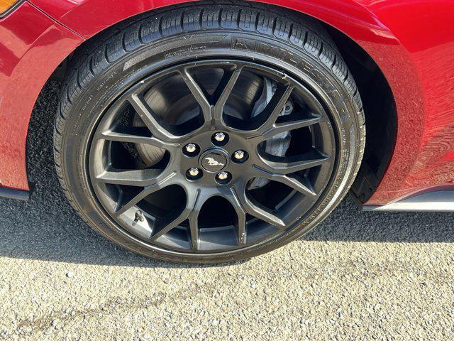 used 2019 Ford Mustang car, priced at $21,000