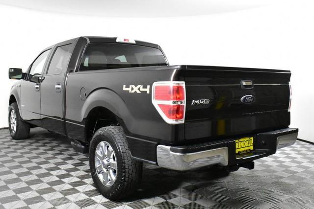 used 2013 Ford F-150 car