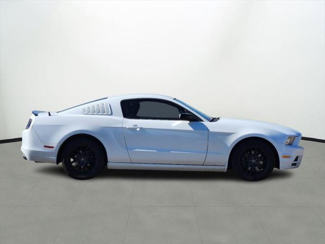 used 2014 Ford Mustang car, priced at $11,999